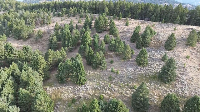 NHN Chestnut Rd, Bozeman, MT 59715