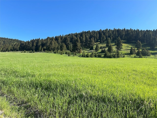 NHN Chestnut Rd, Bozeman, MT 59715