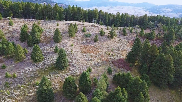 NHN Chestnut Rd, Bozeman, MT 59715