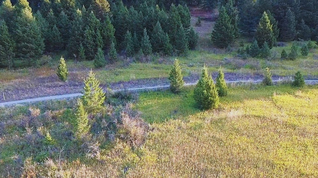 NHN Chestnut Rd, Bozeman, MT 59715