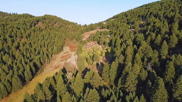NHN Chestnut Rd, Bozeman, MT 59715