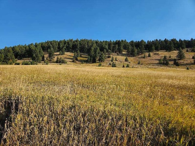 NHN Chestnut Rd, Bozeman, MT 59715