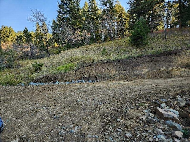 NHN Chestnut Rd, Bozeman, MT 59715