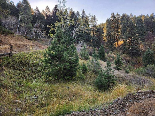 NHN Chestnut Rd, Bozeman, MT 59715