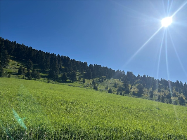 NHN Chestnut Rd, Bozeman, MT 59715