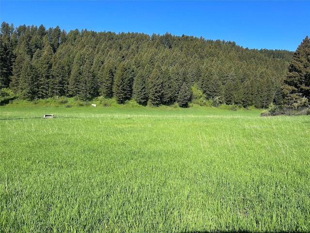 NHN Chestnut Rd, Bozeman, MT 59715
