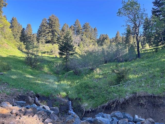 NHN Chestnut Rd, Bozeman, MT 59715