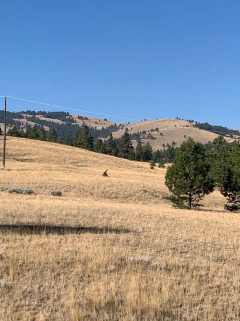 TTBBDD Holmes Gulch Rd, Montana City MT, 59634 land for sale