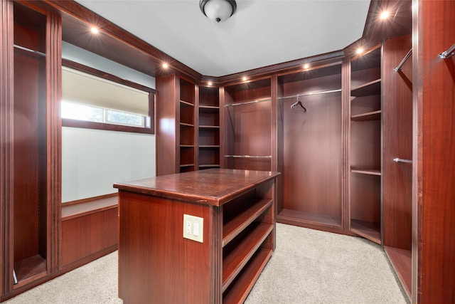 spacious closet with light colored carpet