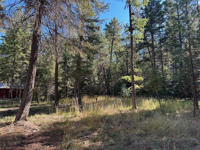 26 Tamarack Ln, Thompson Falls, MT 59873