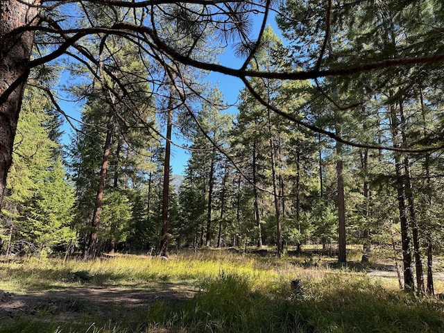 26 Tamarack Ln, Thompson Falls, MT 59873