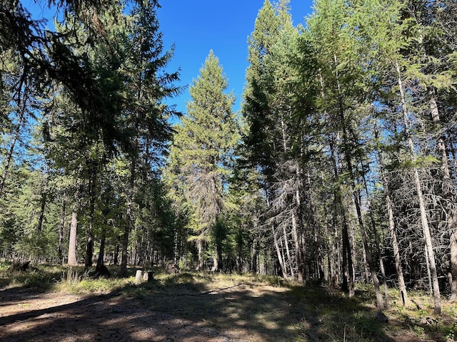 26 Tamarack Ln, Thompson Falls, MT 59873