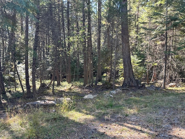 26 Tamarack Ln, Thompson Falls, MT 59873