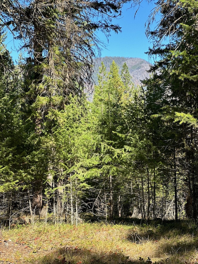 26 Tamarack Ln, Thompson Falls, MT 59873