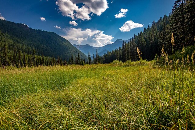 14265 US Highway 2 E, Essex, MT 59916