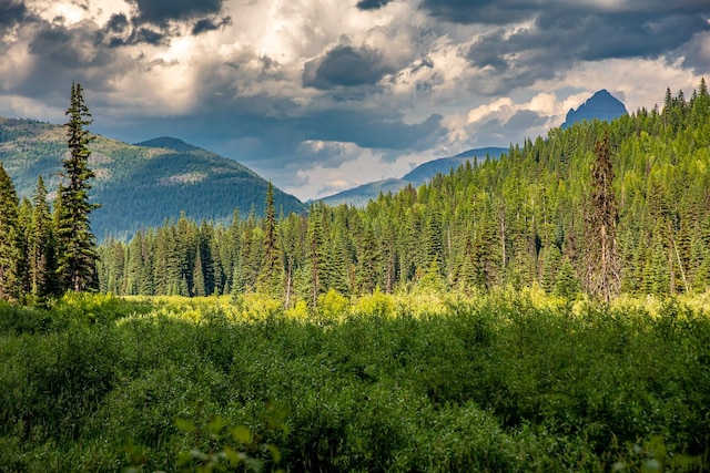 14265 US Highway 2 E, Essex, MT 59916