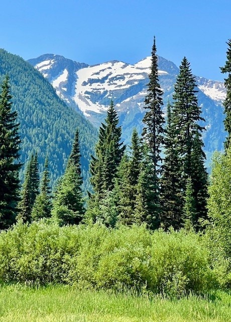 14265 US Highway 2 E, Essex, MT 59916