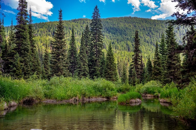 14265 US Highway 2 E, Essex, MT 59916
