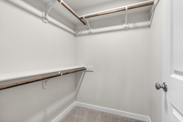 5811 Horn Rd, Missoula, MT 59808 - walk in closet featuring light carpet