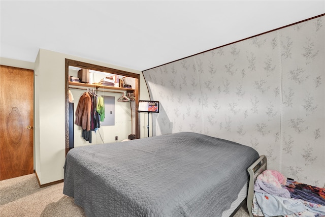 bedroom featuring light carpet and a closet