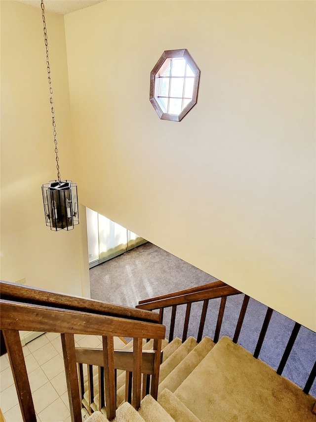 staircase with carpet floors