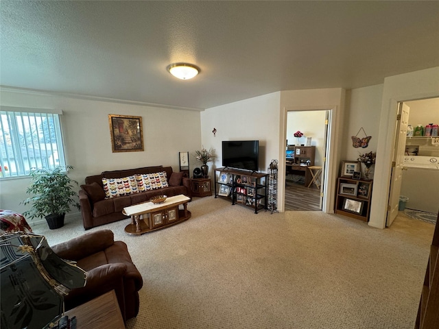 608 Clark St, Deer Lodge, MT 59722 - living room featuring carpet floors and washer / dryer