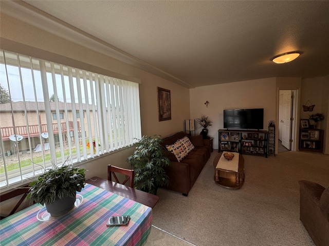 living room featuring carpet and a textured ceiling