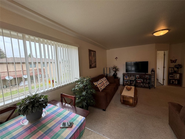 608 Clark St, Deer Lodge, MT 59722 - carpeted living area with a wealth of natural light