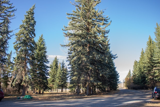 view of road