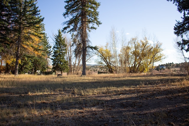 view of landscape with a rural view