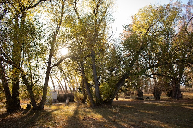 view of nature