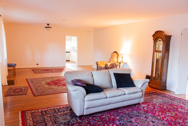 living room with light wood-type flooring