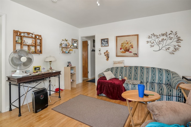 living room featuring light hardwood / wood-style floors