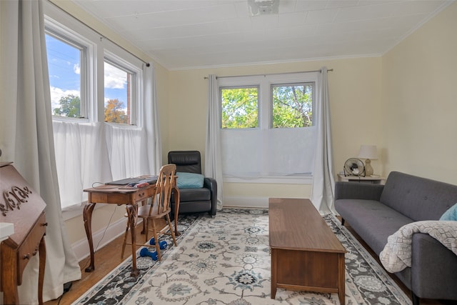 interior space featuring light hardwood / wood-style flooring and crown molding