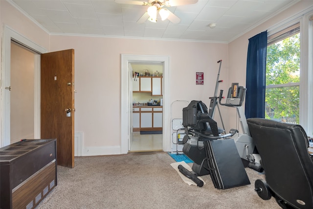 workout room featuring ornamental molding, light carpet, and ceiling fan