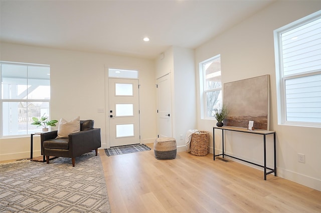 foyer entrance featuring light hardwood / wood-style flooring and a healthy amount of sunlight