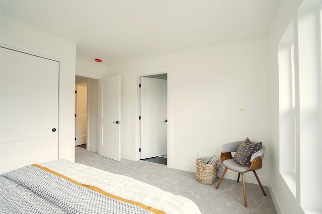 bedroom with carpet floors