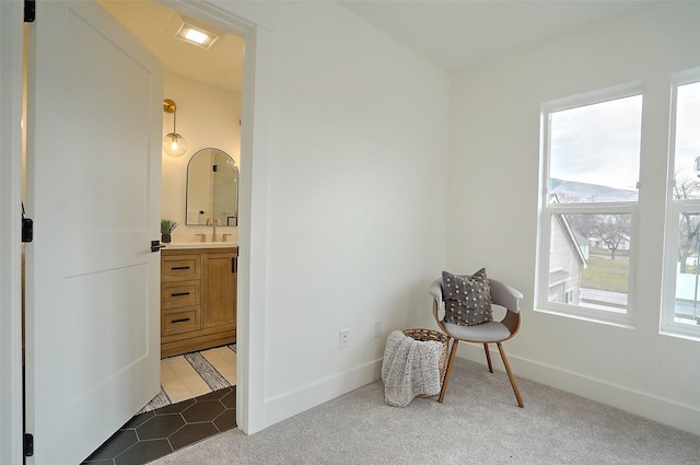 living area with dark carpet and sink