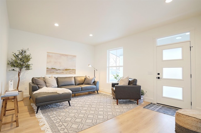 living room featuring light hardwood / wood-style flooring