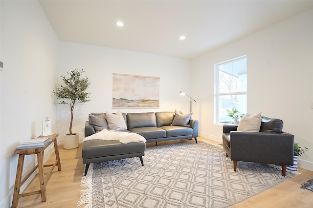 living room featuring light hardwood / wood-style flooring