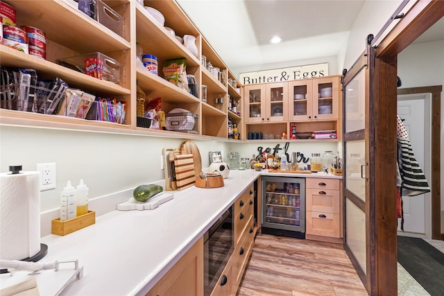 pantry with beverage cooler