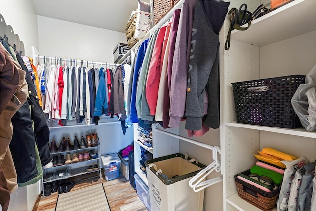 walk in closet with wood-type flooring