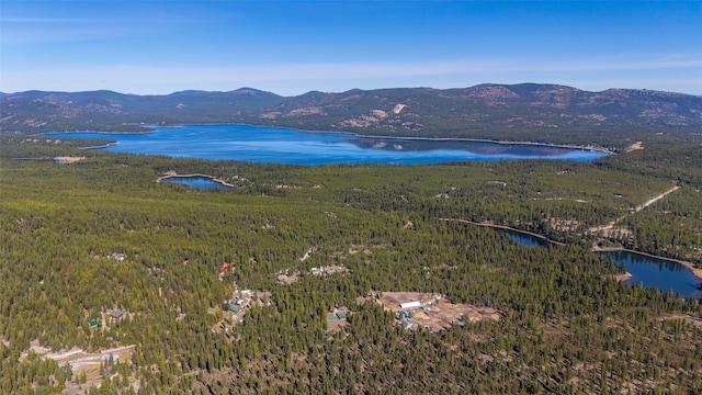 birds eye view of property with a water and mountain view