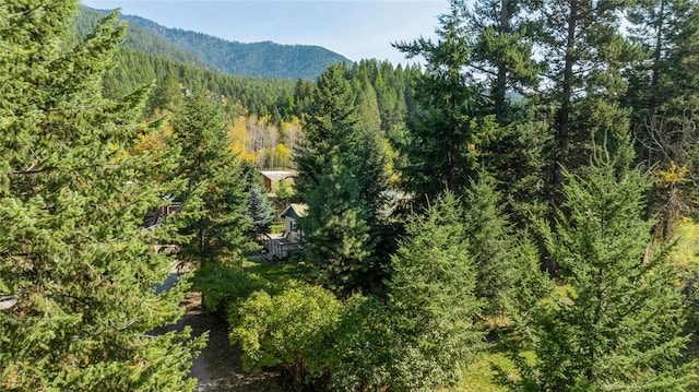1627 Foothill Rd, Kalispell, MT 59901 - view of mountain backdrop featuring a heavily wooded area