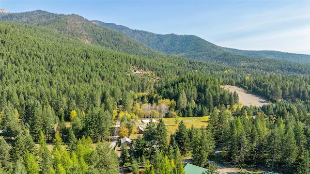 1627 Foothill Rd, Kalispell, MT 59901 - view of mountain backdrop with a heavily wooded area