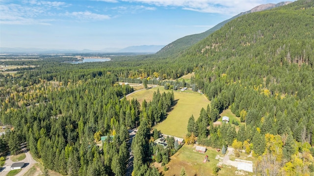 1627 Foothill Rd, Kalispell, MT 59901 - aerial overview of property's location with a forest and mountains