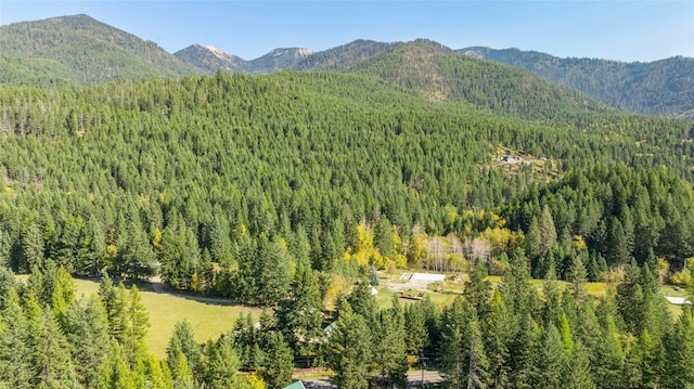 1627 Foothill Rd, Kalispell, MT 59901 - view of mountain backdrop with a heavily wooded area