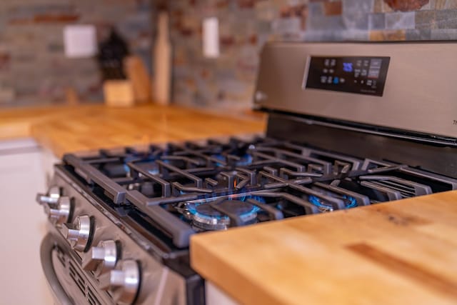 44 Copper Ridge Rd, Trout Creek, MT 59874 - interior details with stainless steel range with gas stovetop