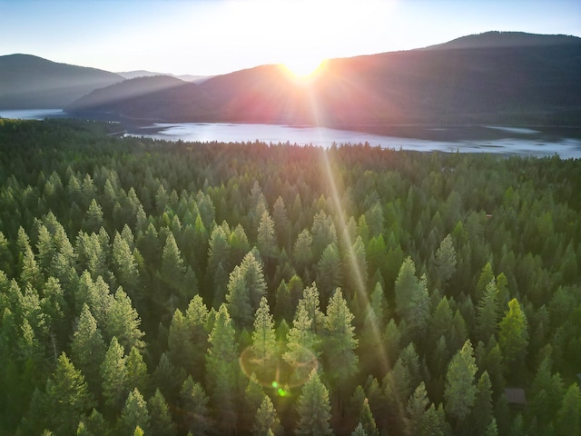 44 Copper Ridge Rd, Trout Creek, MT 59874 - view of mountain feature with a forest view and a water view