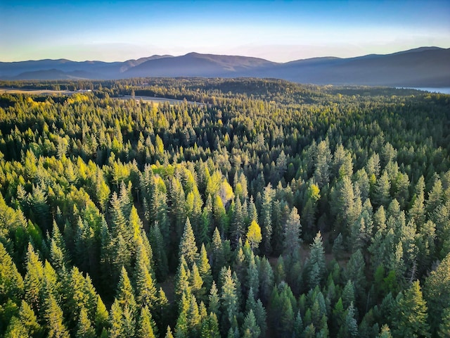 44 Copper Ridge Rd, Trout Creek, MT 59874 - aerial view at dusk featuring a view of trees and a mountain view